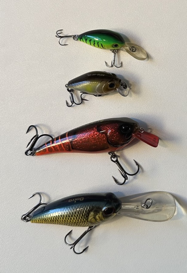 A row of hard plastic crankbaits with diving lips and treble hooks.