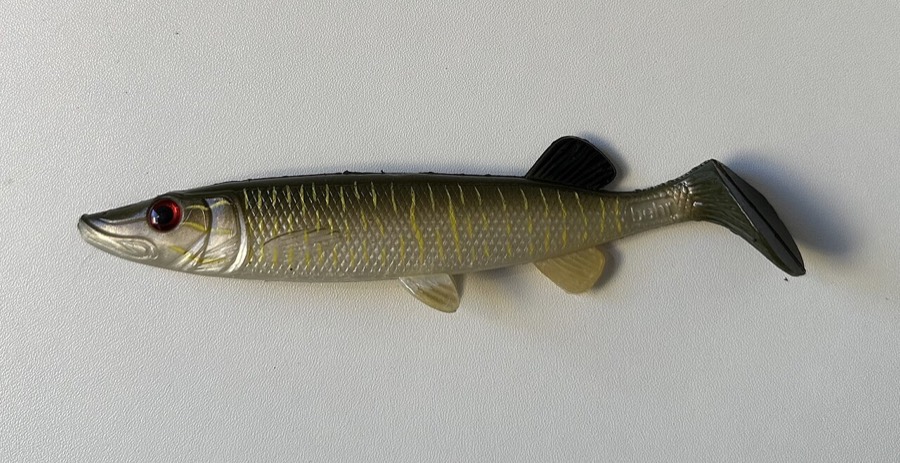 A soft plastic paddle-tail swimbait rigged to imitate a baitfish.